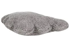 Coussin En Coton Lavable, CLOUD -Literie Magasin 0be7a824de024c07ae856719229f94d4
