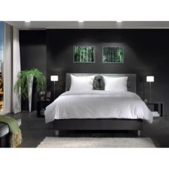 Parure De Lit Percale -Literie Magasin 1000302424 211029 15583200073 MOOD DETAILS P000000001000302424 mood