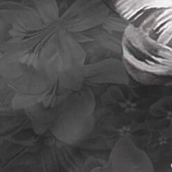 Onyx Taie D'oreiller -Literie Magasin 19bd399630604aea96c929cad6a9c9bc