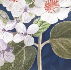 Garden Party Housse De Coussin -Literie Magasin 5282438fbefa4cd5b452b0e323ff5221