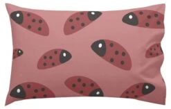 Explorer Set Housse Couette 100x135 -Literie Magasin 7824e53623744829b05583f35484da89.cropped 88 426 1812 1148.processed