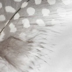 Light Taie D'oreiller -Literie Magasin 9a51063ed5d74356b49ac8e48f6c6ce3