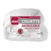 ABEIL Couette MODULABLE Spécial Couple 220x240cm