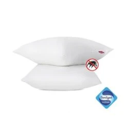 ABEIL Lot De 2 Oreillers Anti-Acarien - 60 X 60 Cm - Blanc -Literie Magasin abeil lot de 2 oreillers anti acarien 60 x 60 cm blanc 3087880024835 513631