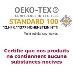 ABEIL Oreiller Moelleux SUPERSOFT 60x60cm -Literie Magasin abeil oreiller moelleux supersoft 60x60cm 3087880022541 513645