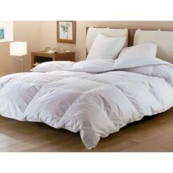BLANREVE Couette Naturelle Duvet Percale De Coton - Anti-acariens - 240x260cm -Literie Magasin blanreve couette naturelle duvet percale de coton anti acariens 240x260cm 3245841497245 513313