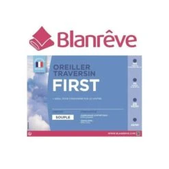 BLANREVE Lot De 2 Oreillers FIRST 60x60cm -Literie Magasin blanreve lot de 2 oreillers first 60x60cm 3245841091993 513434