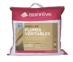 BLANREVE Lot De 2 Oreillers Plumes - 60x60 Cm
