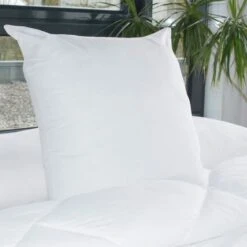 BLEU CALIN Lot De 2 Oreillers Volumineux 60x60 Cm Blanc -Literie Magasin bleu calin lot de 2 oreillers volumineux 60x60 cm blanc 3153633412249 513522