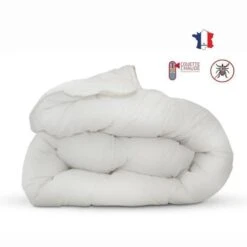 Couette Anti-acariens - 220 X 240 Cm - Chaude - 400 G/m² 2 Personnes - Blanc - ABEIL