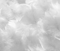 Couette Très Chaude Nature Duvet Coton 140x200 Cm - 350g -Literie Magasin couette tres chaude nature duvet coton 140x200 cm 350g 3701030132767 1242163