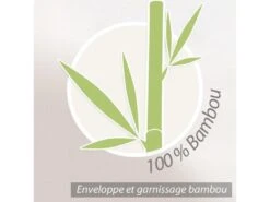Couette 140x200 Cm Hiver BAMBOO Garnissage Viscose De Bambou 400 G/m2 -Literie Magasin couette 10674185