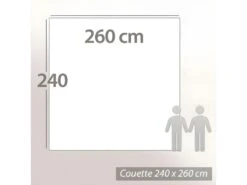 Couette 260x240 Cm Hiver PICARDIE Garnissage Naturel Duvet De Canard 500 G/m2 -Literie Magasin couette 10674203