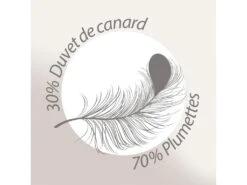 Couette 260x240 Cm Hiver PICARDIE Garnissage Naturel Duvet De Canard 500 G/m2 -Literie Magasin couette 10674205
