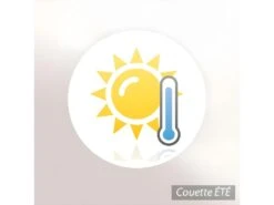 Couette 260x240 Cm été BAMBOO Garnissage Viscose De Bambou 200 G/m2 -Literie Magasin couette 10674243