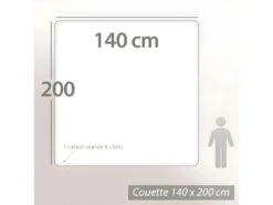 Couette 140x200 Cm Hiver ISLAND Garnissage Naturel Duvet De Canard 400 G/m2 16 Couette 140x200 Cm Hiver ISLAND Garnissage Naturel Duvet De Canard 400 G/m2 -Literie Magasin couette 10715537