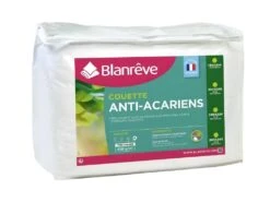 BLANREVE Couette Tres Chaude Percale - Anti-acariens - 420g/m2 - 140x200cm