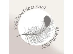 Couette 240x220 Cm été ISLAND Garnissage Naturel Duvet De Canard 200 G/m2 -Literie Magasin couette 12990237