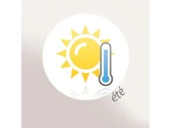 Couette 240x220 Cm été ISLAND Garnissage Naturel Duvet De Canard 200 G/m2 -Literie Magasin couette 12990239