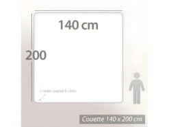 Couette 140x200 Cm Hiver VELAY LUXE Garnissage Naturel Duvet D'oie 400 G/m2 -Literie Magasin couette 13477517