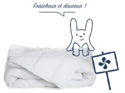 Couette Légère Spéciale Eté 240x260cm 5 Couette Légère Spéciale Eté 240x260cm -Literie Magasin couette 13605359