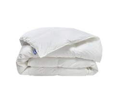 Couette Chaude Duvet De Canard 230g/m2 - 220x240cm
