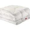 Couette Epeda Aloe Vera Hiver Anti-acariens 260x240