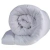 Couette Hiver Anti-acariens 600g Someo 140x200