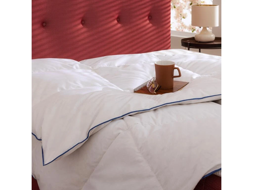 Couette Prestige Hôtellerie Duvet De Canard Someo 260x240 4 Couette Prestige Hôtellerie Duvet De Canard Someo 260x240 – Image 4