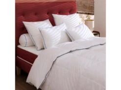 Couette Prestige Hôtellerie Duvet De Canard Someo 240x220 6 Couette Prestige Hôtellerie Duvet De Canard Someo 240x220 -Literie Magasin couette 19442503