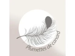 Couette Tempérée 260x240 Cm PLUMDOR Garnissage Naturel Plumettes De Canard 300 G/m2 16 Couette Tempérée 260x240 Cm PLUMDOR Garnissage Naturel Plumettes De Canard 300 G/m2 -Literie Magasin couette 8895293