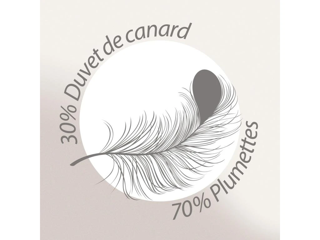 Couette 240x220 Cm Hiver PICARDIE Garnissage Naturel Duvet De Canard 500 G/m2 8 Couette 240x220 Cm Hiver PICARDIE Garnissage Naturel Duvet De Canard 500 G/m2 – Image 8