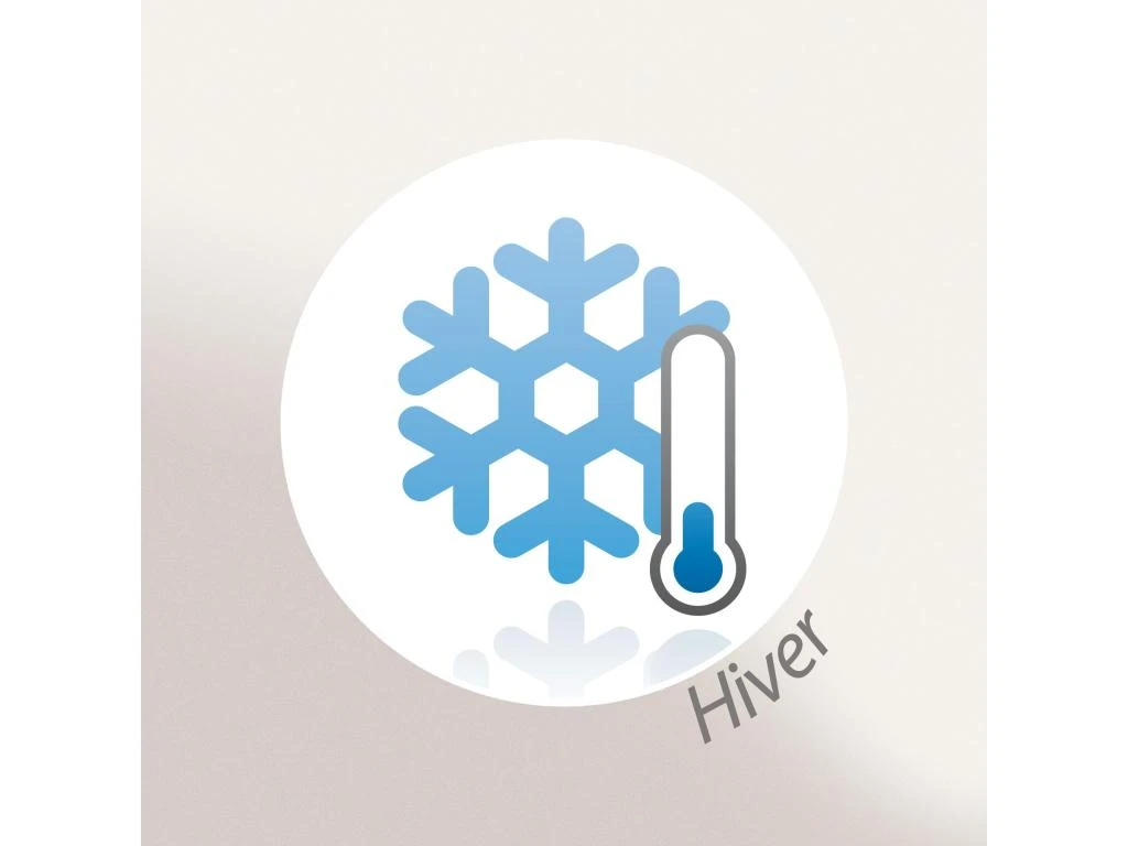 Couette Hiver 260x240 Cm CASTOR Garnissage Fibre Polyester 400 G/m2 9 Couette Hiver 260x240 Cm CASTOR Garnissage Fibre Polyester 400 G/m2 – Image 9