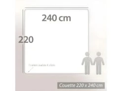Couette 240x220 Cm été BAMBOO Garnissage Viscose De Bambou 200 G/m2 -Literie Magasin couette 8895629