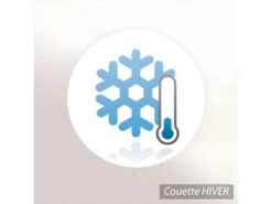 Couette 140x200 Cm Hiver PICARDIE Garnissage Naturel Duvet De Canard 500 G/m2 -Literie Magasin couette 8895733