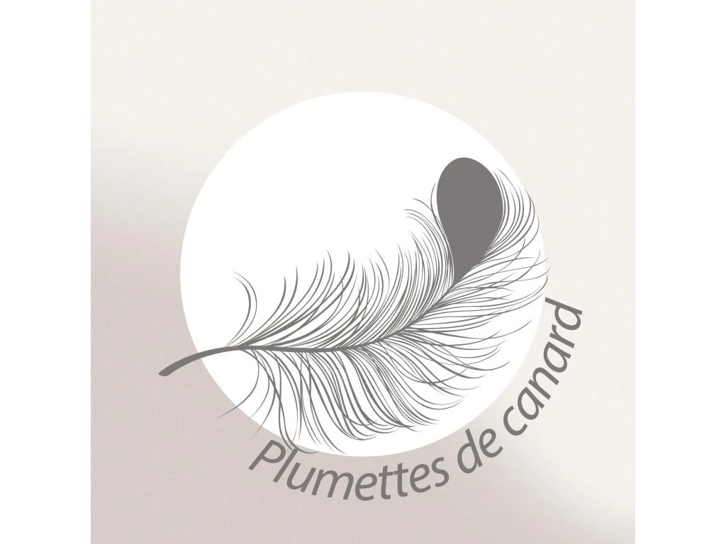 Couette Tempérée 240x220 Cm PLUMDOR Garnissage Naturel Plumettes De Canard 300 G/m2 8 Couette Tempérée 240x220 Cm PLUMDOR Garnissage Naturel Plumettes De Canard 300 G/m2 – Image 8