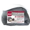 ABEIL Couette Bicolore - 220 X 240 Cm - Blanc Et Gris