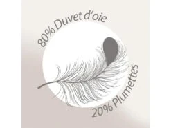 Couette 260x240 Cm Hiver CAP NORD Garnissage Naturel Duvet D'oie 400 G/m2 -Literie Magasin couette 8896707