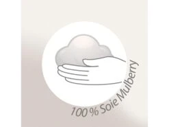 Couette été 240x220 Cm SILKYDOR Garnissage Soie Mulberry 200 G/m2 -Literie Magasin couette 8896787