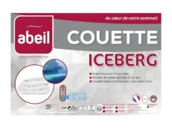 ABEIL Couette Legere ICEBERG 220x240cm -Literie Magasin couette 8897027