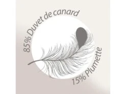 Couette 240x220 Cm 4 Saisons FINLANDE Garnissage Naturel Duvet De Canard 180+300 = 480 G/m2 -Literie Magasin couette 8897131
