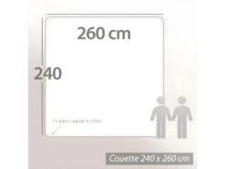 Couette 260x240 Cm été CAP NORD Garnissage Naturel Duvet D'oie 250 G/m2 -Literie Magasin couette 8897469