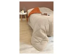 POYET MOTTE Couette Microfibre 400g/m2 CALGARY - 220 X 240 Cm - Gris Galet Et Marron Gimgembre -Literie Magasin couette 8898263