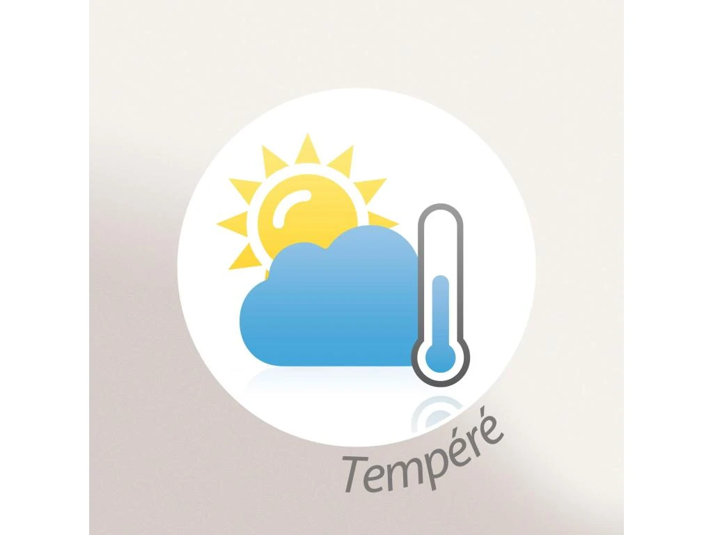 Couette Tempérée 260x240 Cm SILKYDOR Garnissage Soie Mulberry 380 G/m2 9 Couette Tempérée 260x240 Cm SILKYDOR Garnissage Soie Mulberry 380 G/m2 – Image 9