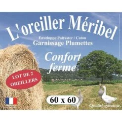 DODO Lot De 2 Oreillers MERIBEL Plumettes 60x60cm