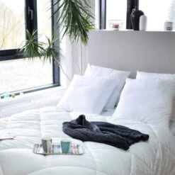 HOME COLLECTION Lot De 4 Oreillers 60x60cm  Blanc -Literie Magasin home collection lot de 4 oreillers 60x60cm blanc 3153633471222 735662