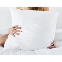 Lot De 2 Oreillers Anti-Acariens 60x60cm -Literie Magasin lot de 2 oreillers anti acariens 60x60cm 3377720098707 427400