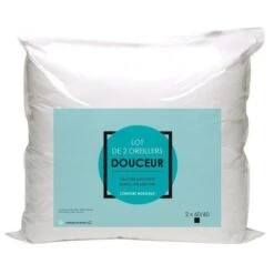 Lot De 2 Oreillers Microfibre 60x60cm