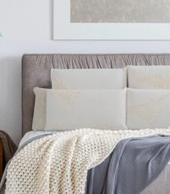 Oreiller 40x60 Cm à Mémoire De Forme Bio Airy -Literie Magasin oreiller 40x60 cm a memoire de forme bio airy 3701030114237 1238627