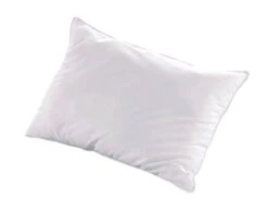Oreiller Pour Hôtel 5 étoiles 45x70 Cm Percale Blanc Palace - Lot De 2 8 Oreiller Pour Hôtel 5 étoiles 45x70 Cm Percale Blanc Palace - Lot De 2 -Literie Magasin oreiller pour hotel 5 etoiles 45x70 cm percale blanc palace lot de 2 3701030134464 1238668